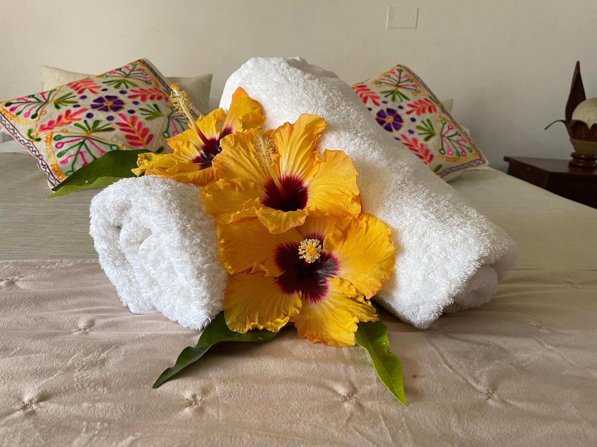 Hotel Chez Maria Goretti 汉格罗阿 外观 照片